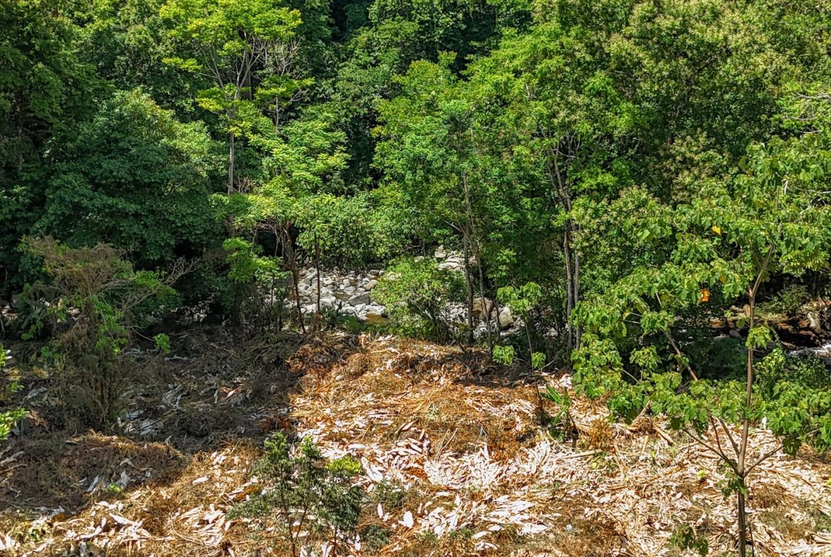 BUILDING PROPERTY WITH MOUNTAIN VIEWS AND CREEK, IN OJOCHAL – 2.46 ACRES