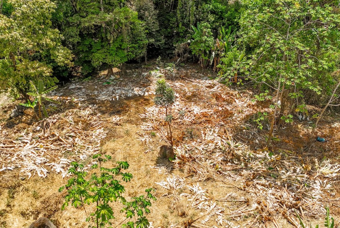 BUILDING PROPERTY WITH MOUNTAIN VIEWS AND CREEK, IN OJOCHAL – 2.46 ACRES