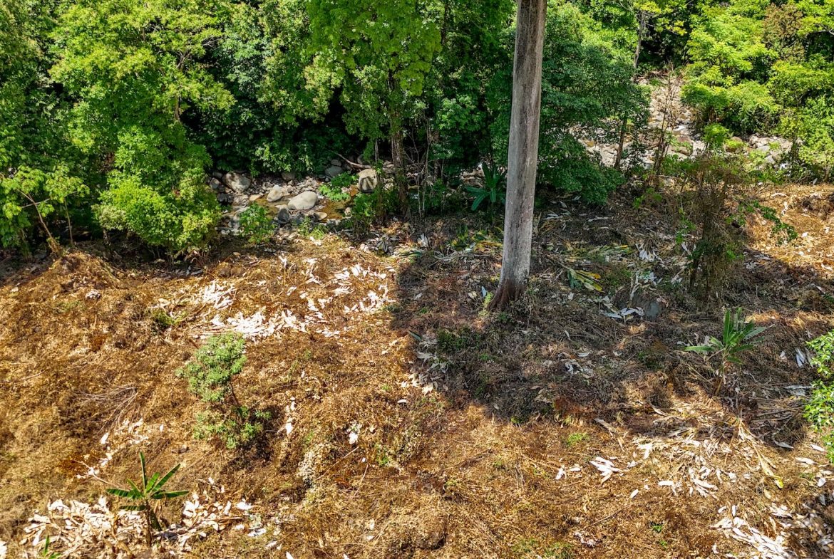 BUILDING PROPERTY WITH MOUNTAIN VIEWS AND CREEK, IN OJOCHAL – 2.46 ACRES
