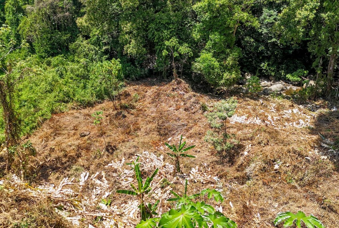 BUILDING PROPERTY WITH MOUNTAIN VIEWS AND CREEK, IN OJOCHAL – 2.46 ACRES