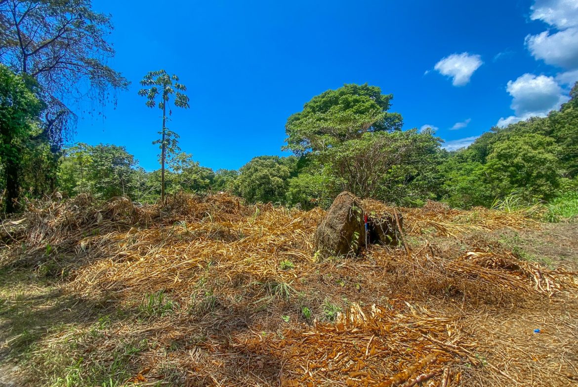 BUILDING PROPERTY WITH MOUNTAIN VIEWS AND CREEK, IN OJOCHAL – 2.46 ACRES