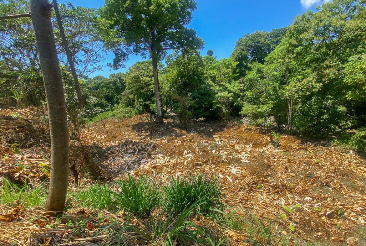 BUILDING PROPERTY WITH MOUNTAIN VIEWS AND CREEK, IN OJOCHAL – 2.46 ACRES