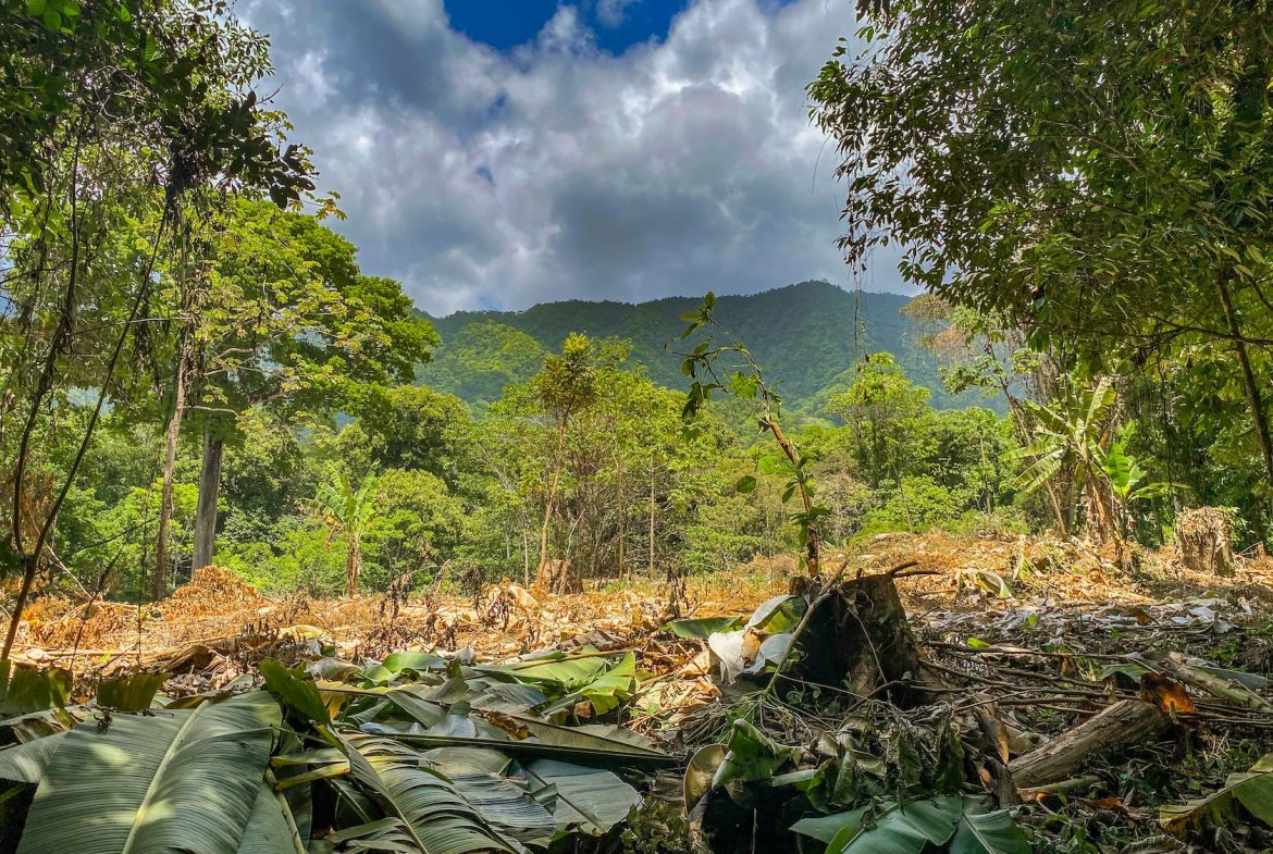 BUILDING PROPERTY WITH MOUNTAIN VIEWS AND CREEK, IN OJOCHAL – 2.46 ACRES