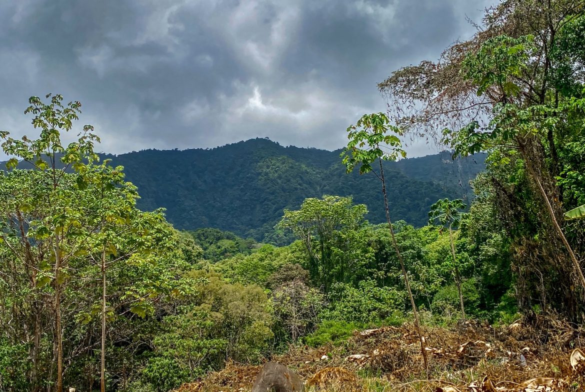 BUILDING PROPERTY WITH MOUNTAIN VIEWS AND CREEK, IN OJOCHAL – 2.46 ACRES