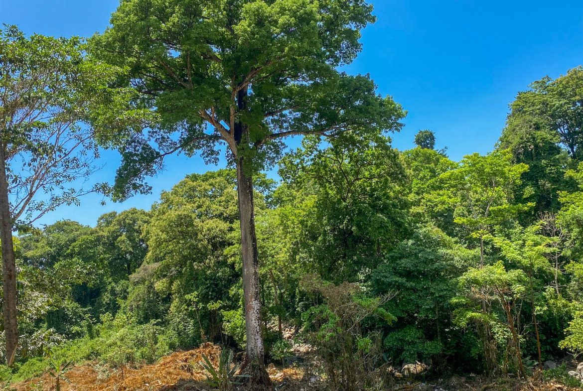 BUILDING PROPERTY WITH MOUNTAIN VIEWS AND CREEK, IN OJOCHAL – 2.46 ACRES