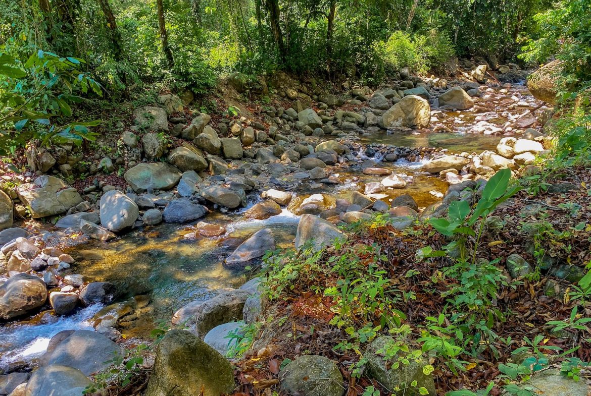 BUILDING PROPERTY WITH MOUNTAIN VIEWS AND CREEK, IN OJOCHAL – 2.46 ACRES