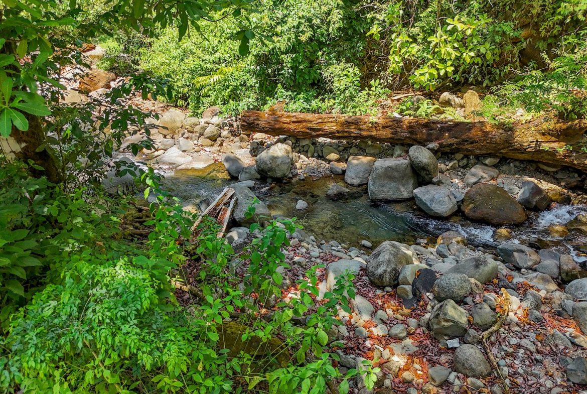 BUILDING PROPERTY WITH MOUNTAIN VIEWS AND CREEK, IN OJOCHAL – 2.46 ACRES