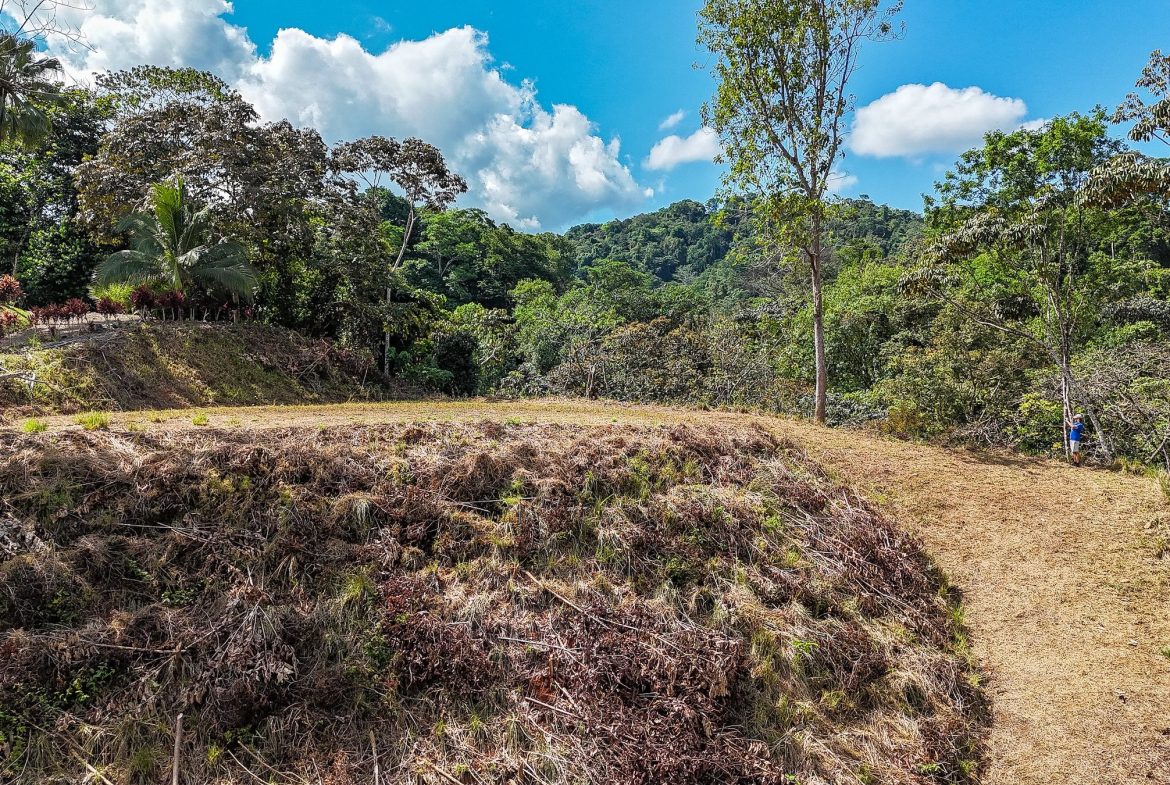 MOUNTAIN BUILDING PROPERTY WITH TREES VIEWS, IN TRES RIOS – 1.2 ACRES