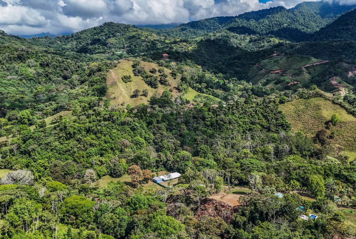 MOUNTAIN BUILDING PROPERTY WITH TREES VIEWS, IN TRES RIOS – 1.2 ACRES
