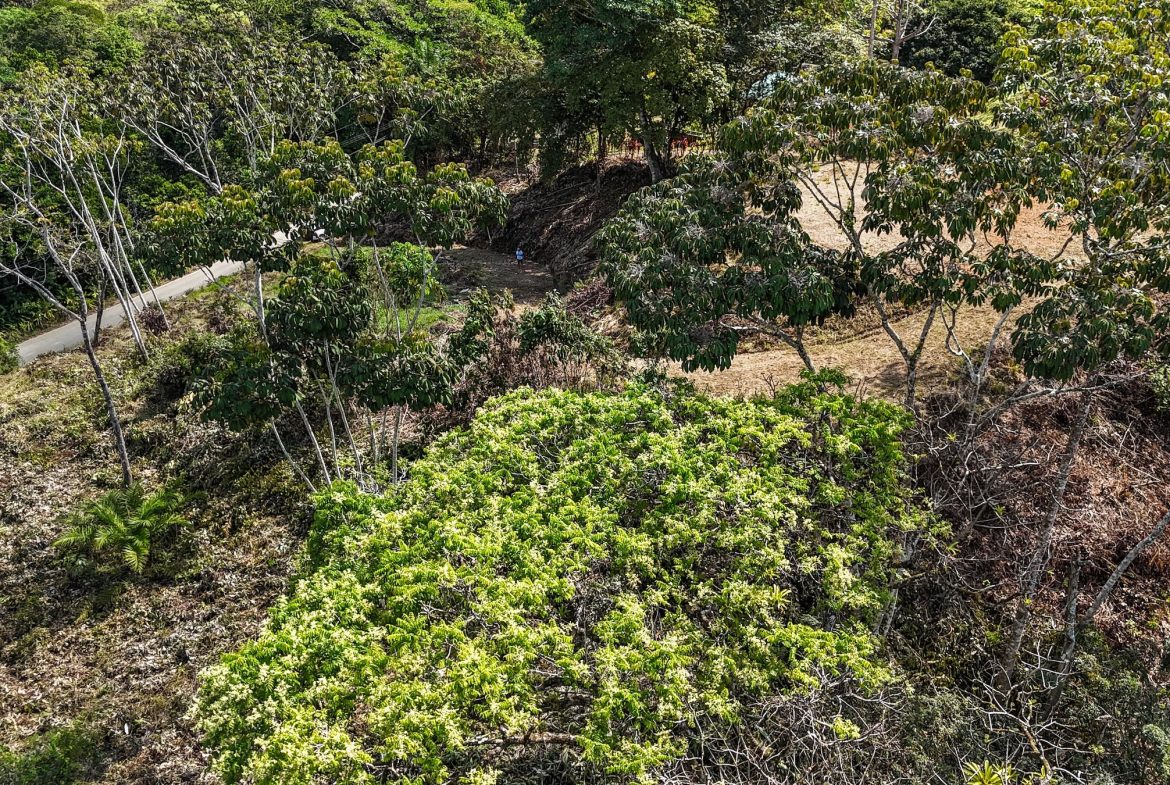 MOUNTAIN BUILDING PROPERTY WITH TREES VIEWS, IN TRES RIOS – 1.2 ACRES