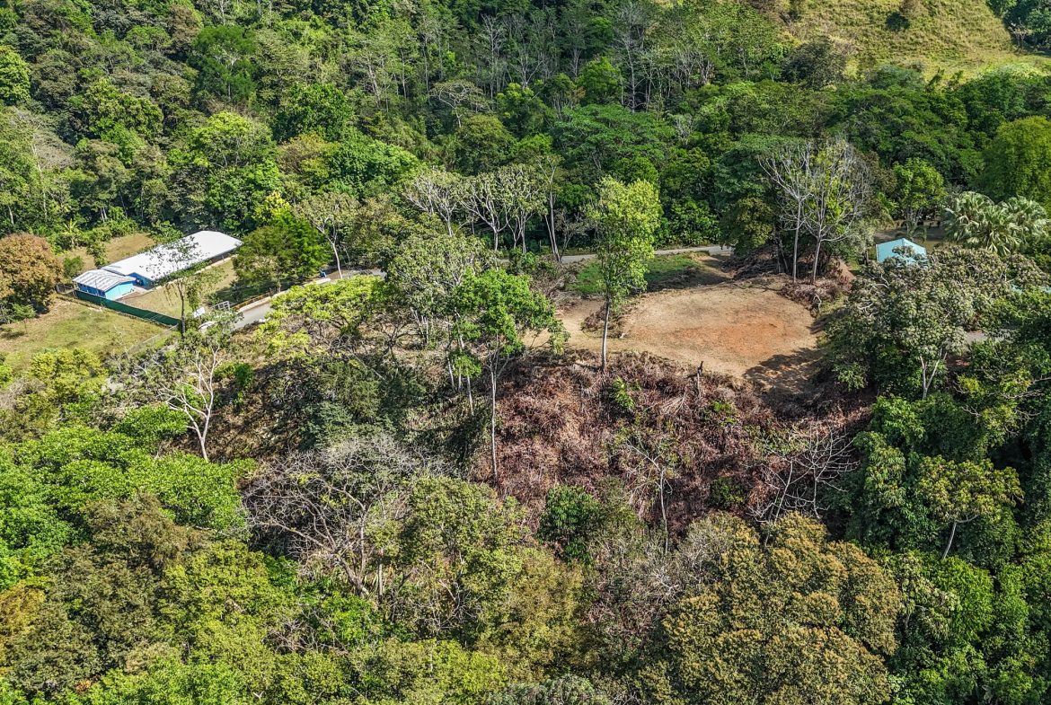 MOUNTAIN BUILDING PROPERTY WITH TREES VIEWS, IN TRES RIOS – 1.2 ACRES