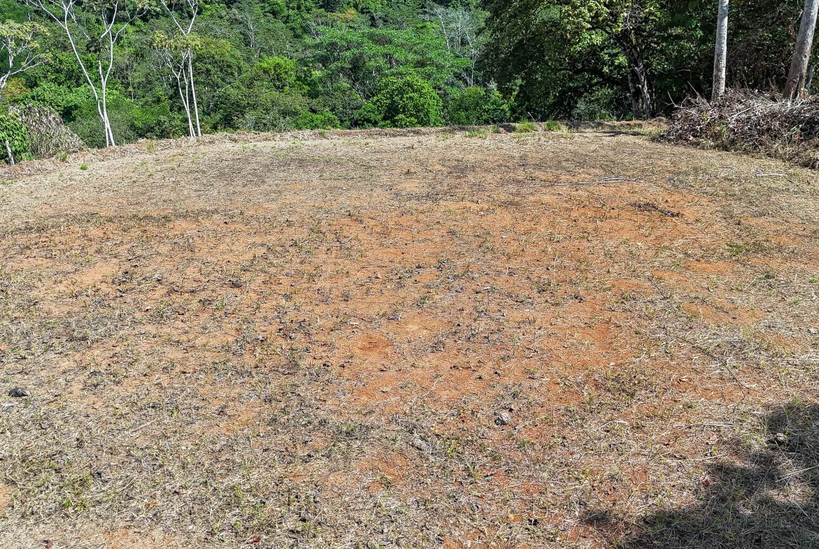 MOUNTAIN BUILDING PROPERTY WITH TREES VIEWS, IN TRES RIOS – 1.2 ACRES