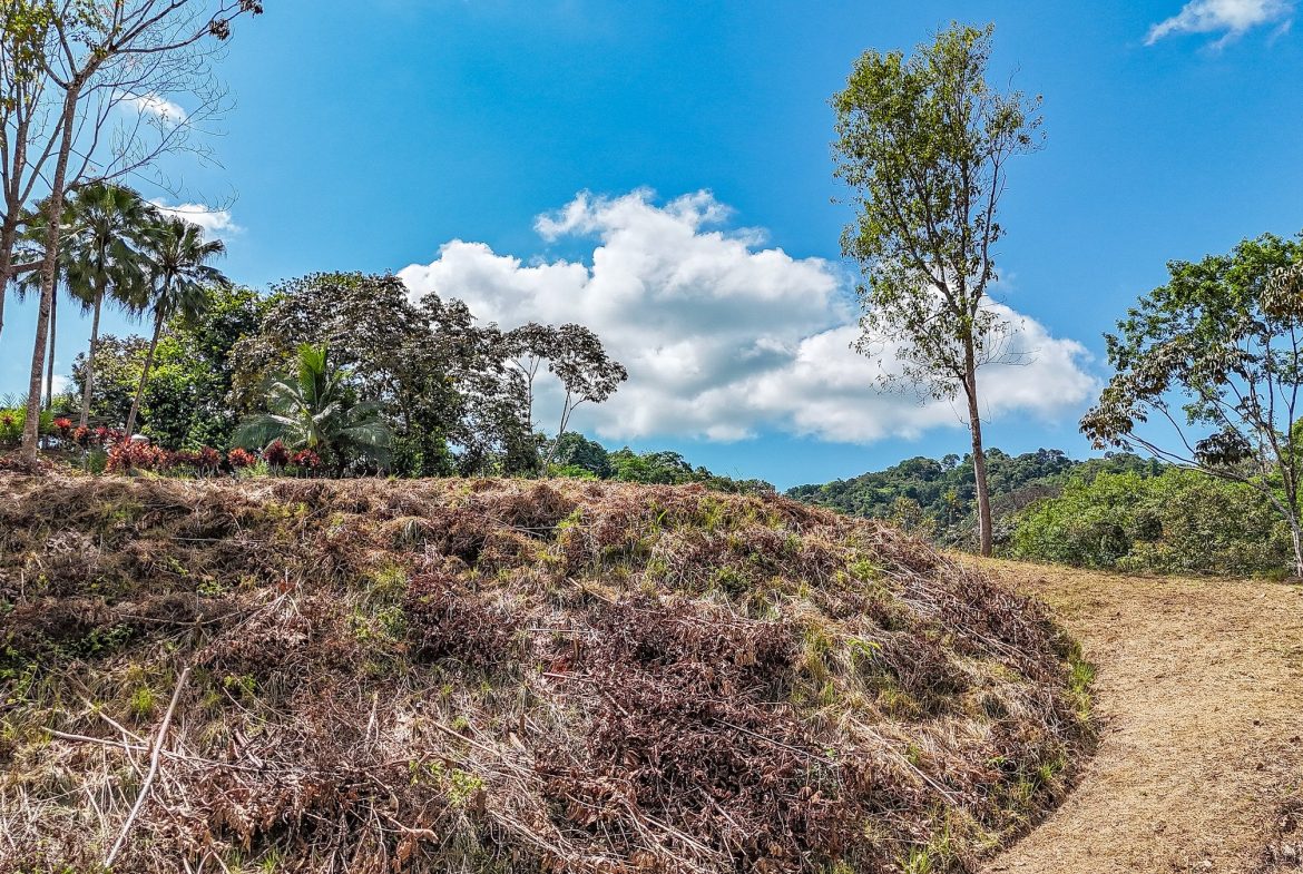 MOUNTAIN BUILDING PROPERTY WITH TREES VIEWS, IN TRES RIOS – 1.2 ACRES