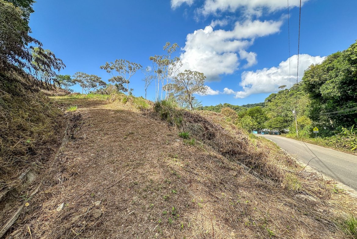 MOUNTAIN BUILDING PROPERTY WITH TREES VIEWS, IN TRES RIOS – 1.2 ACRES