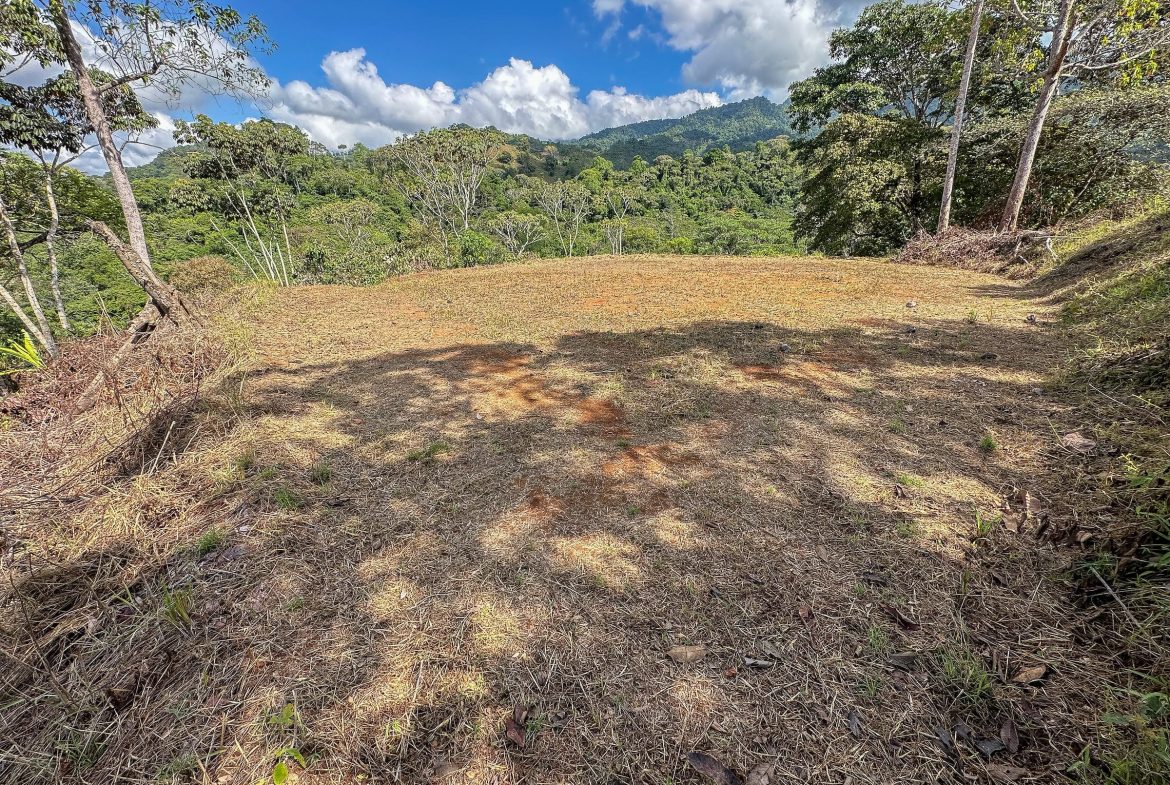 MOUNTAIN BUILDING PROPERTY WITH TREES VIEWS, IN TRES RIOS – 1.2 ACRES