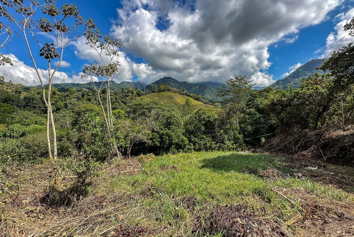 MOUNTAIN BUILDING PROPERTY WITH TREES VIEWS, IN TRES RIOS – 1.2 ACRES
