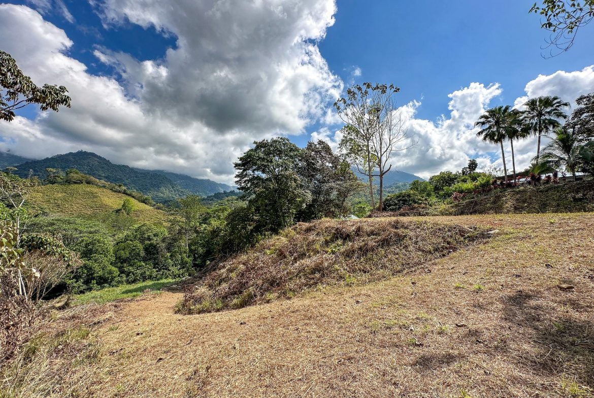 MOUNTAIN BUILDING PROPERTY WITH TREES VIEWS, IN TRES RIOS – 1.2 ACRES