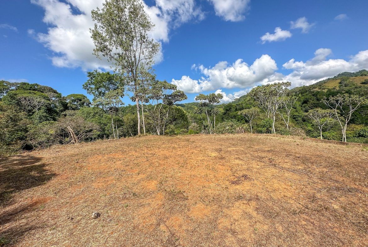 MOUNTAIN BUILDING PROPERTY WITH TREES VIEWS, IN TRES RIOS – 1.2 ACRES