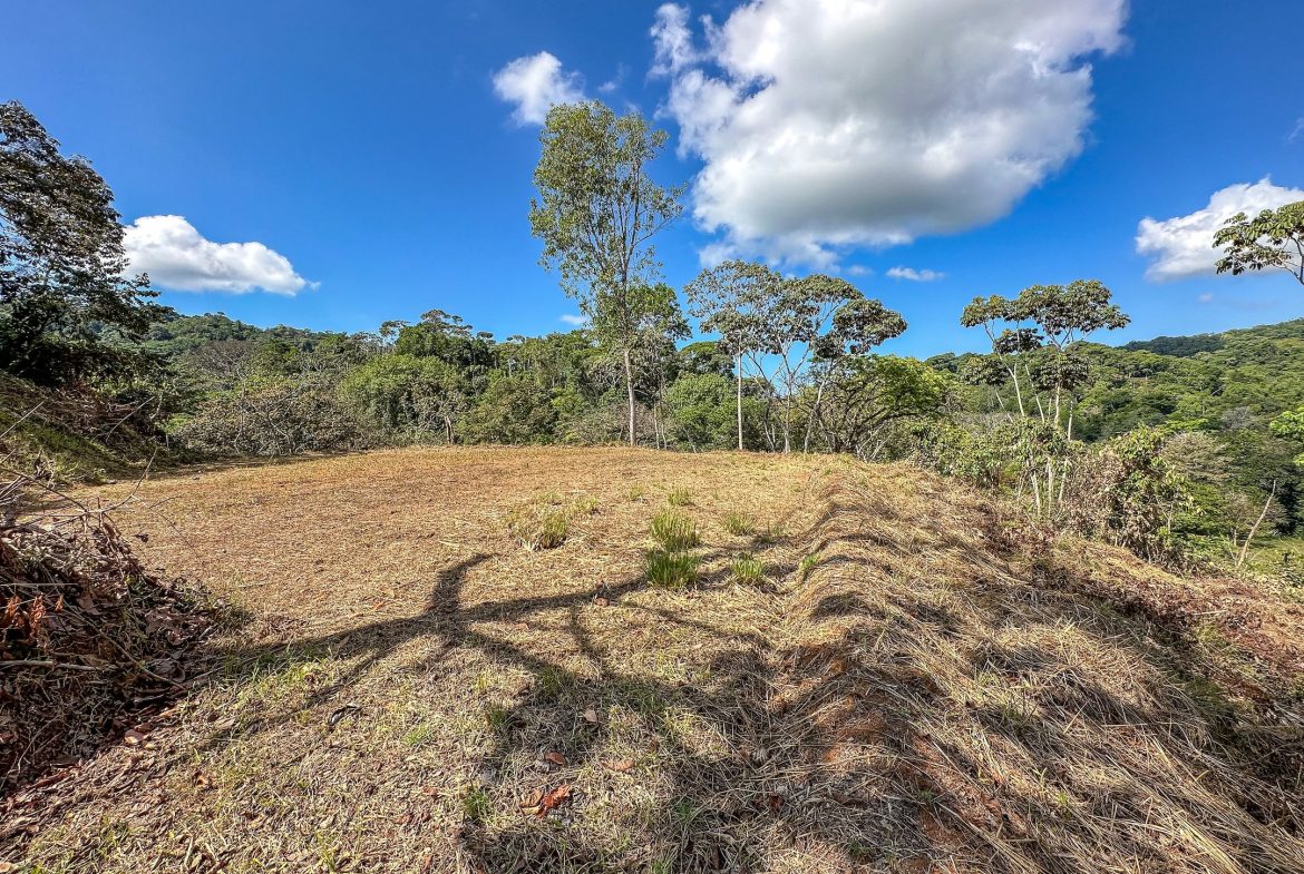 MOUNTAIN BUILDING PROPERTY WITH TREES VIEWS, IN TRES RIOS – 1.2 ACRES