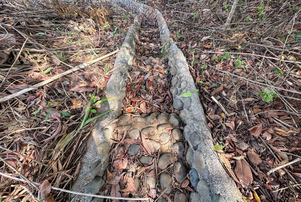 MOUNTAIN BUILDING PROPERTY WITH TREES VIEWS, IN TRES RIOS – 1.2 ACRES