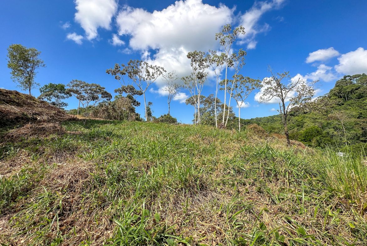 MOUNTAIN BUILDING PROPERTY WITH TREES VIEWS, IN TRES RIOS – 1.2 ACRES