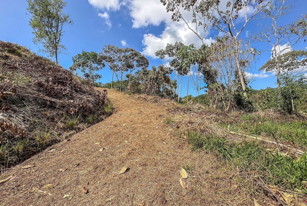 MOUNTAIN BUILDING PROPERTY WITH TREES VIEWS, IN TRES RIOS – 1.2 ACRES