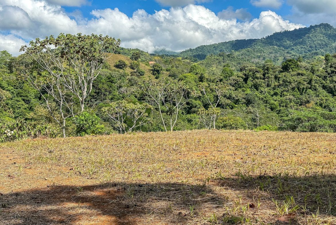 MOUNTAIN BUILDING PROPERTY WITH TREES VIEWS, IN TRES RIOS – 1.2 ACRES