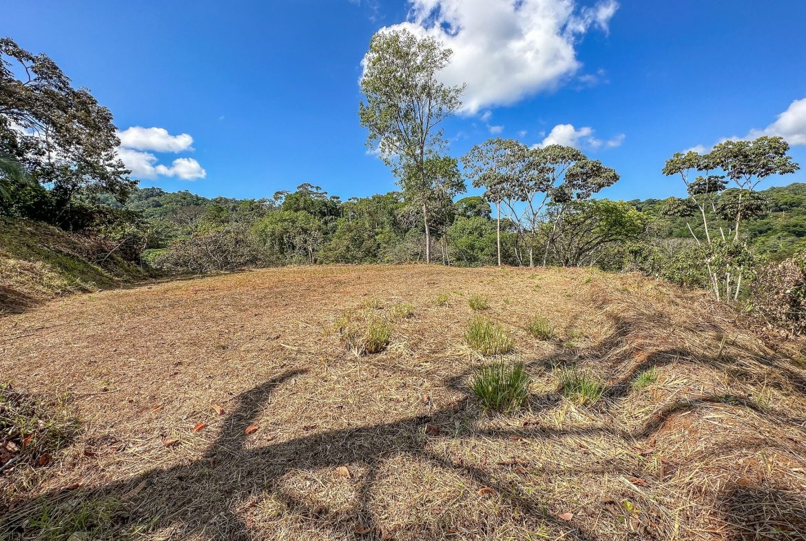 MOUNTAIN BUILDING PROPERTY WITH TREES VIEWS, IN TRES RIOS – 1.2 ACRES
