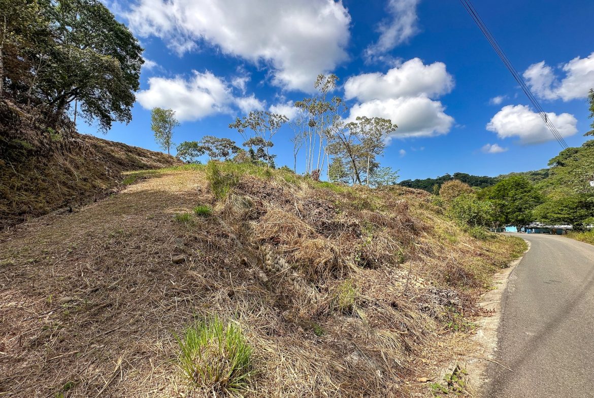MOUNTAIN BUILDING PROPERTY WITH TREES VIEWS, IN TRES RIOS – 1.2 ACRES