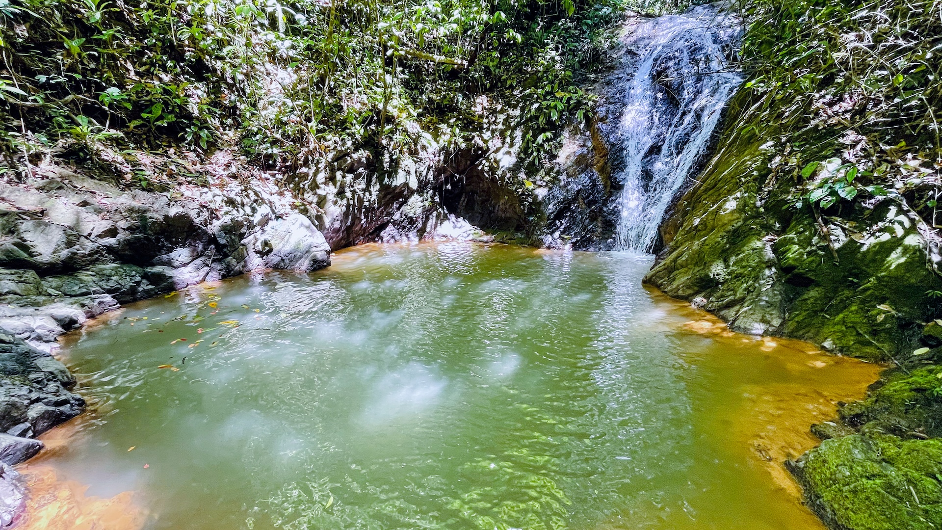 150005 Secluded Jungle Sanctuary 05