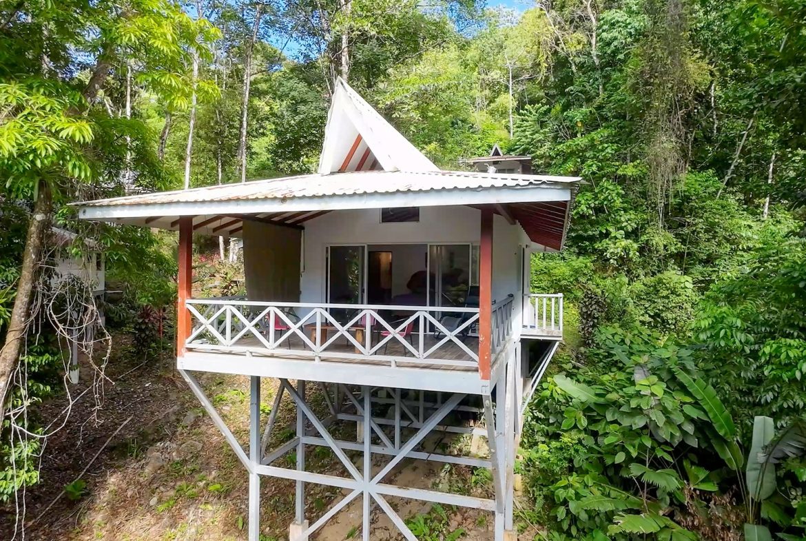 PROPERTY WITH FOUR CABINS AND A BEAUTIFUL CASCADE WITH CREEK, IN TRES RIOS – 2.45 ACRES