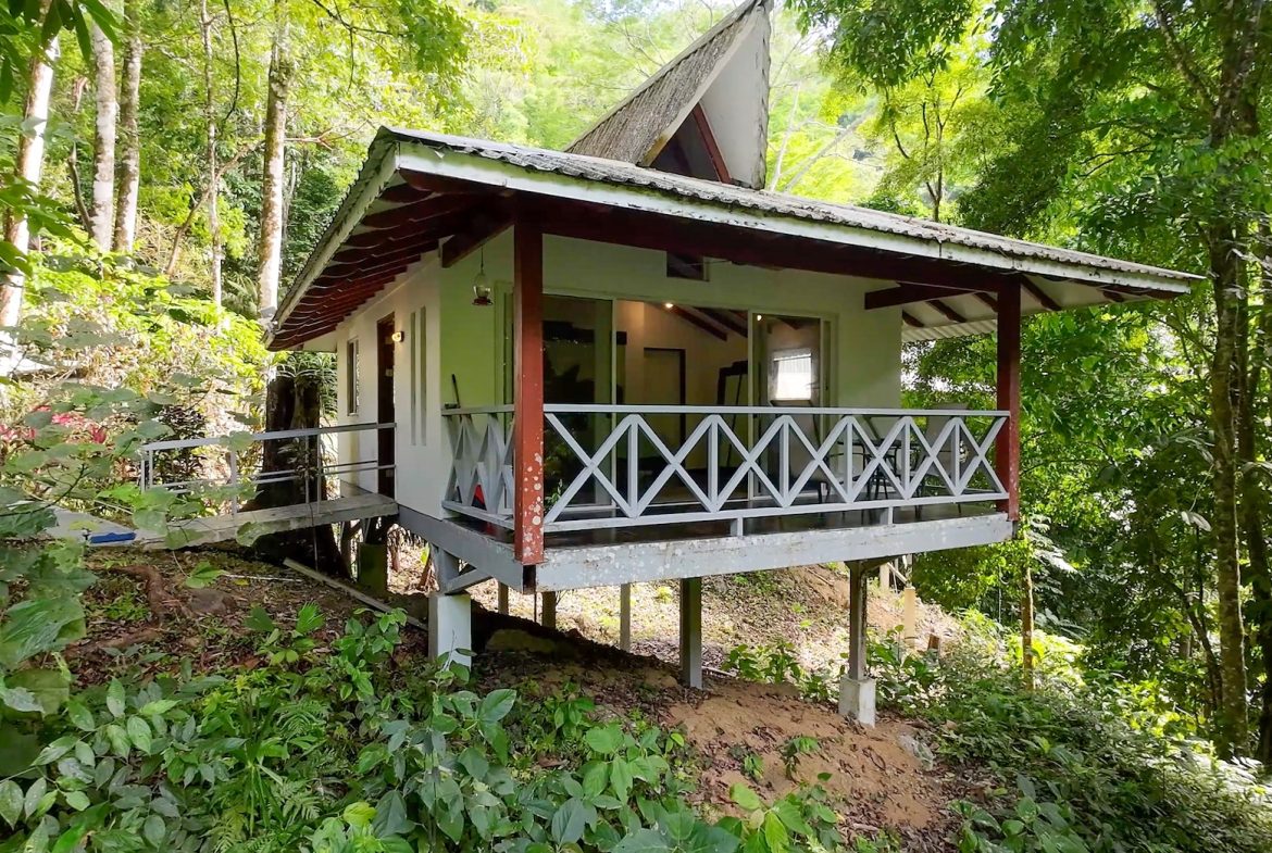 PROPERTY WITH FOUR CABINS AND A BEAUTIFUL CASCADE WITH CREEK, IN TRES RIOS – 2.45 ACRES