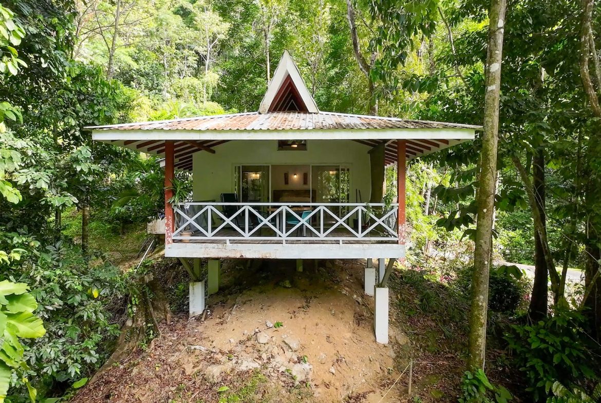 PROPERTY WITH FOUR CABINS AND A BEAUTIFUL CASCADE WITH CREEK, IN TRES RIOS – 2.45 ACRES
