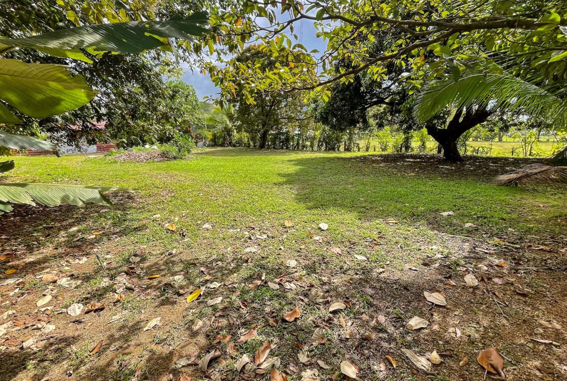 BUILDING PROPERTY A STEPS OF THE BEACH, IN BAHIA BALLENA – 0.30 ACRES