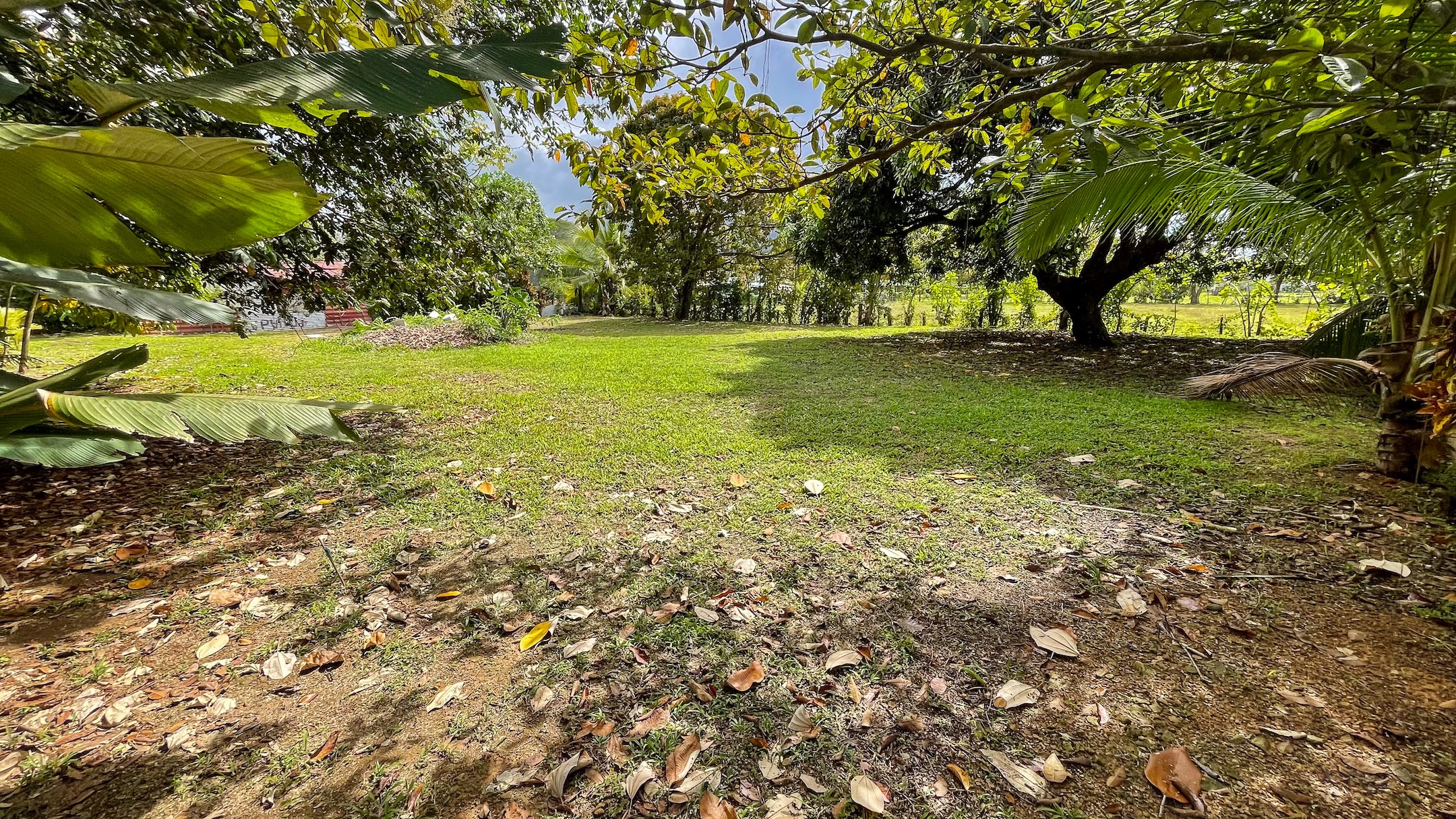 4580 Property For Sale in Bahia 07