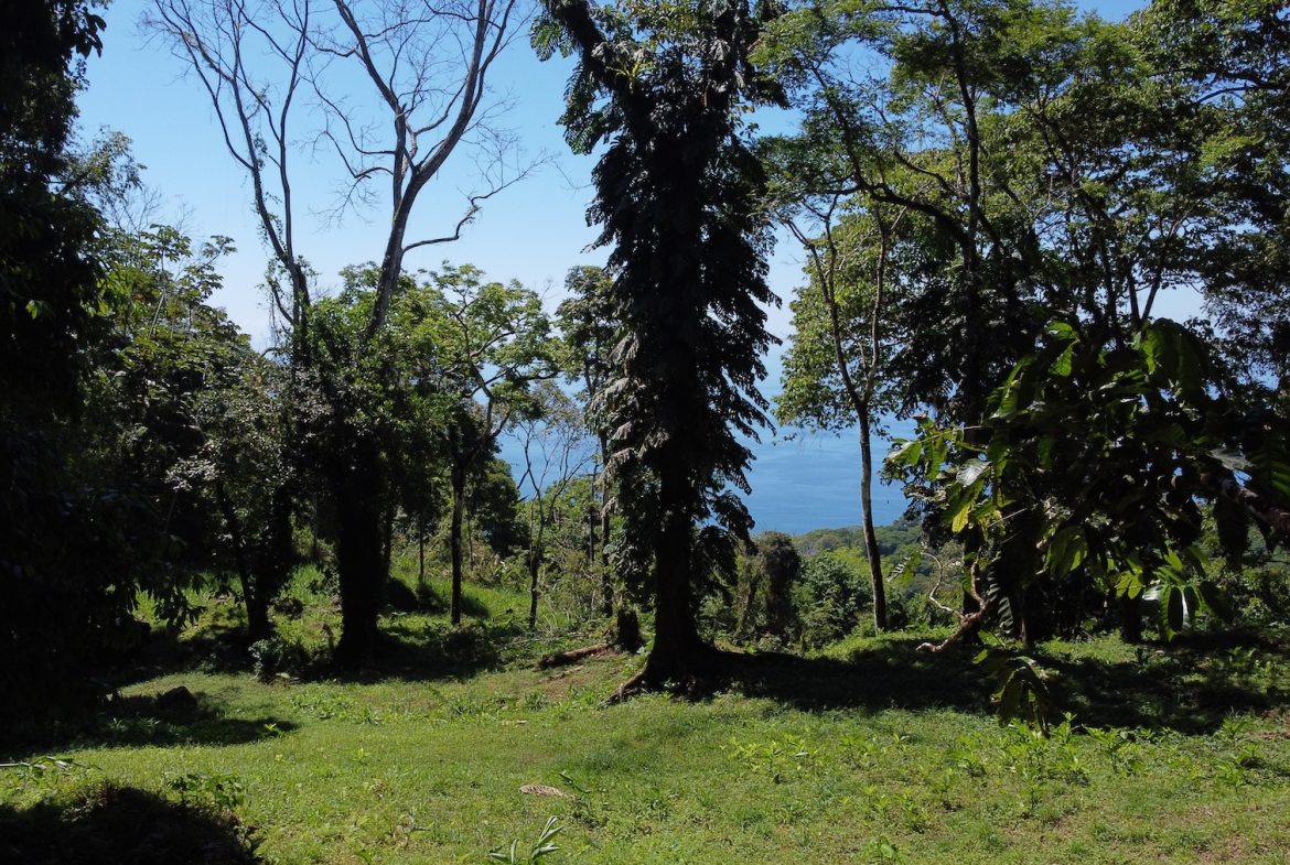 BUILDING PROPERTY WITH STELLAR OCEAN VIEWS, IN ESCALERAS – 5.8 ACRES
