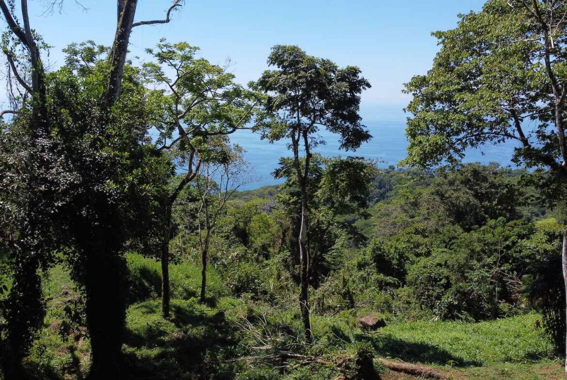 BUILDING PROPERTY WITH STELLAR OCEAN VIEWS, IN ESCALERAS – 5.8 ACRES