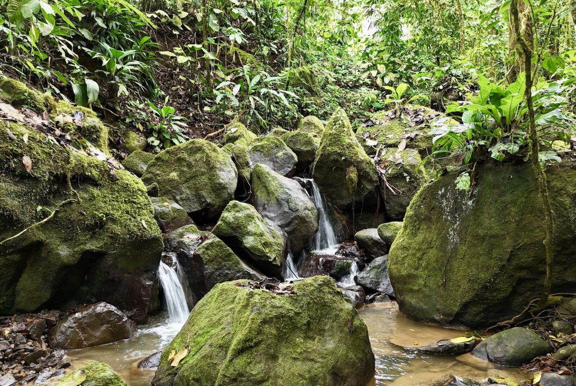 MOUNTAIN BUILDING PROPERTY WITH A CREEK, IN TRES RIOS – 12.5 ACRES