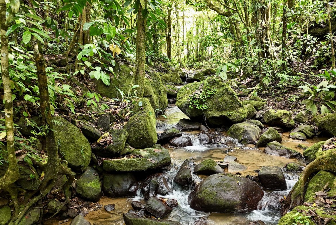 MOUNTAIN BUILDING PROPERTY WITH A CREEK, IN TRES RIOS – 12.5 ACRES