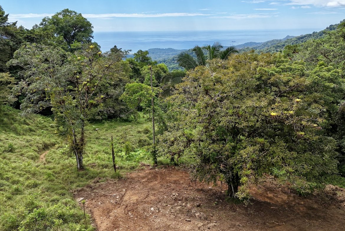 MOUNTAIN BUILDING PROPERTY WITH A CREEK, IN TRES RIOS – 12.5 ACRES