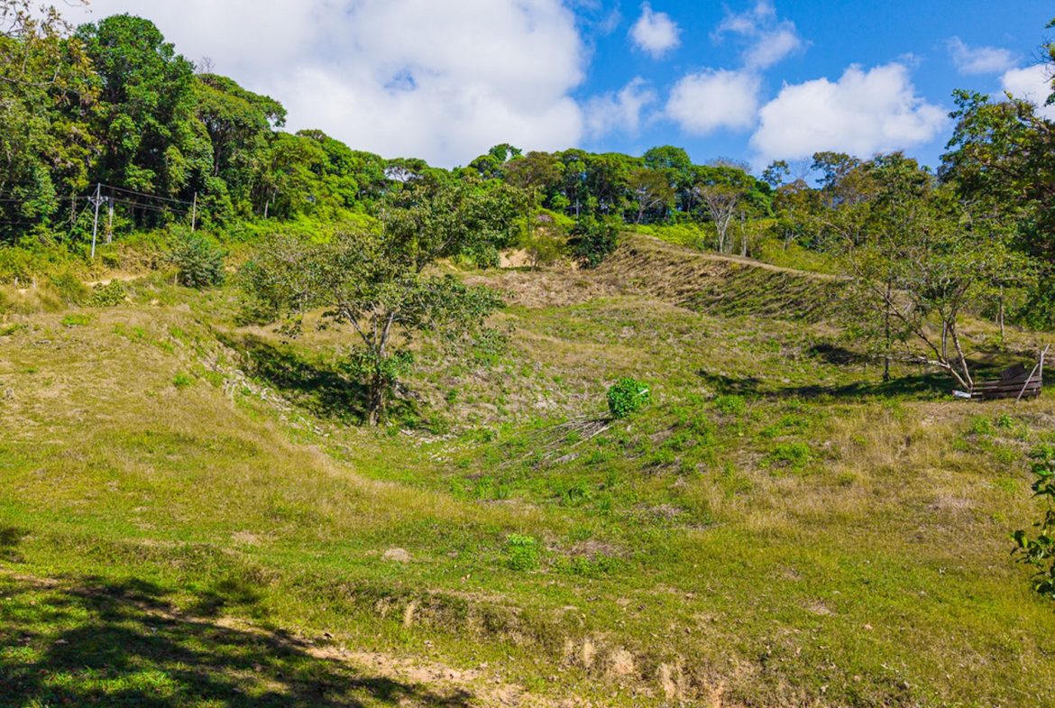 DEVELOPMENT PROPERTY WITH BEAUTIFUL CASCADE, IN UVITA – 101 ACRES