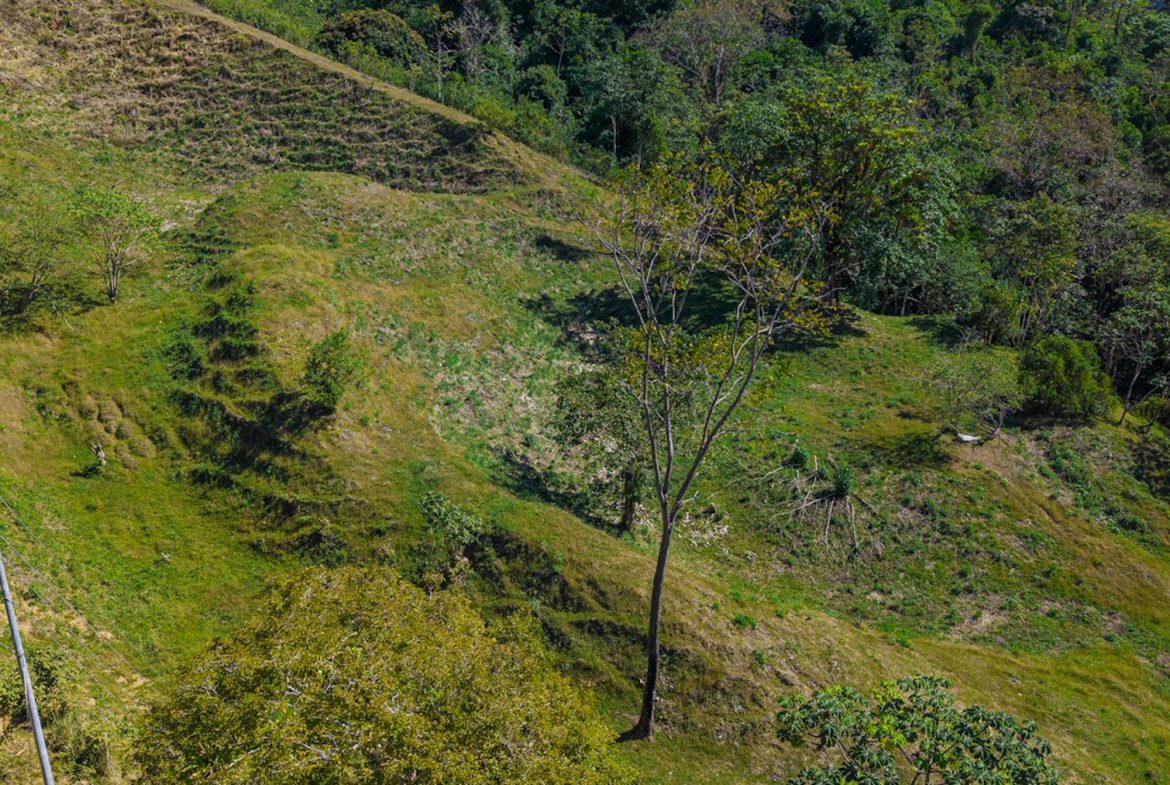 DEVELOPMENT PROPERTY WITH BEAUTIFUL CASCADE, IN UVITA – 101 ACRES