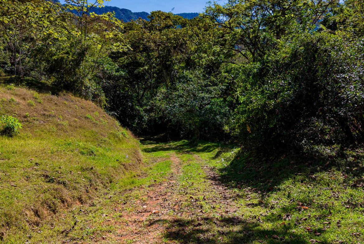 DEVELOPMENT PROPERTY WITH BEAUTIFUL CASCADE, IN UVITA – 101 ACRES