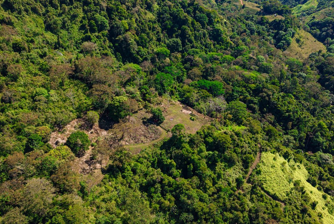DEVELOPMENT PROPERTY WITH BEAUTIFUL CASCADE, IN UVITA – 101 ACRES