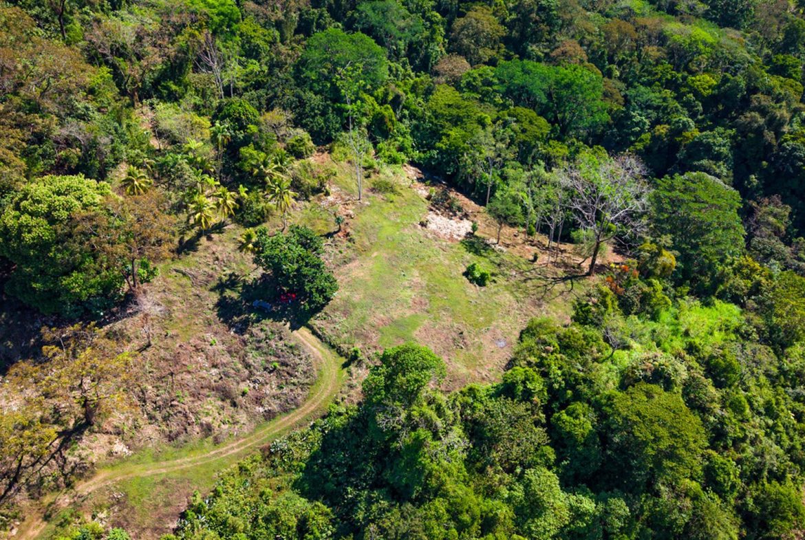 DEVELOPMENT PROPERTY WITH BEAUTIFUL CASCADE, IN UVITA – 101 ACRES