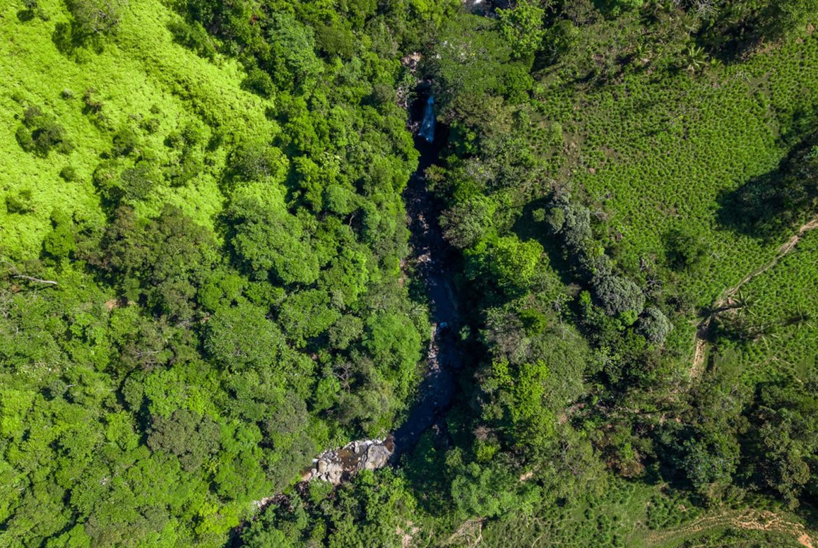 DEVELOPMENT PROPERTY WITH BEAUTIFUL CASCADE, IN UVITA – 101 ACRES