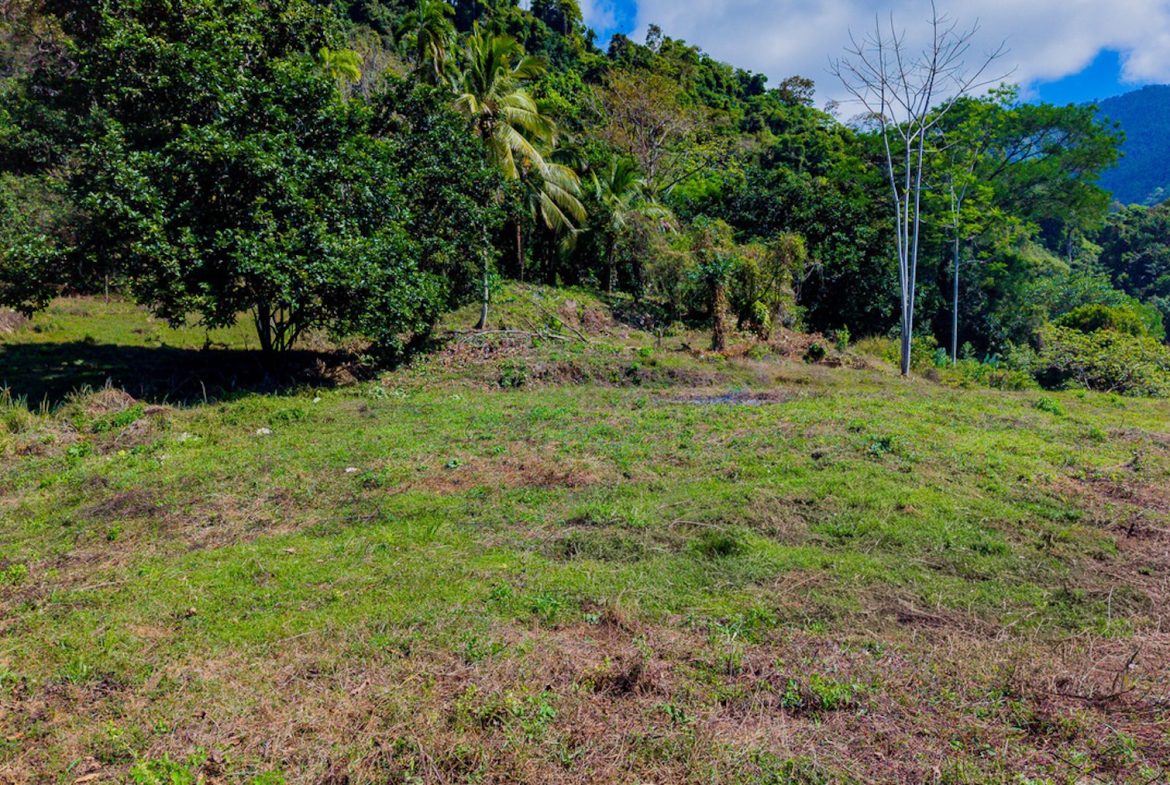 DEVELOPMENT PROPERTY WITH BEAUTIFUL CASCADE, IN UVITA – 101 ACRES