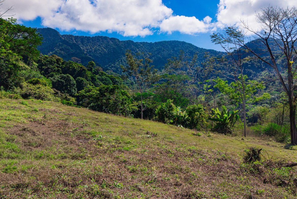 DEVELOPMENT PROPERTY WITH BEAUTIFUL CASCADE, IN UVITA – 101 ACRES