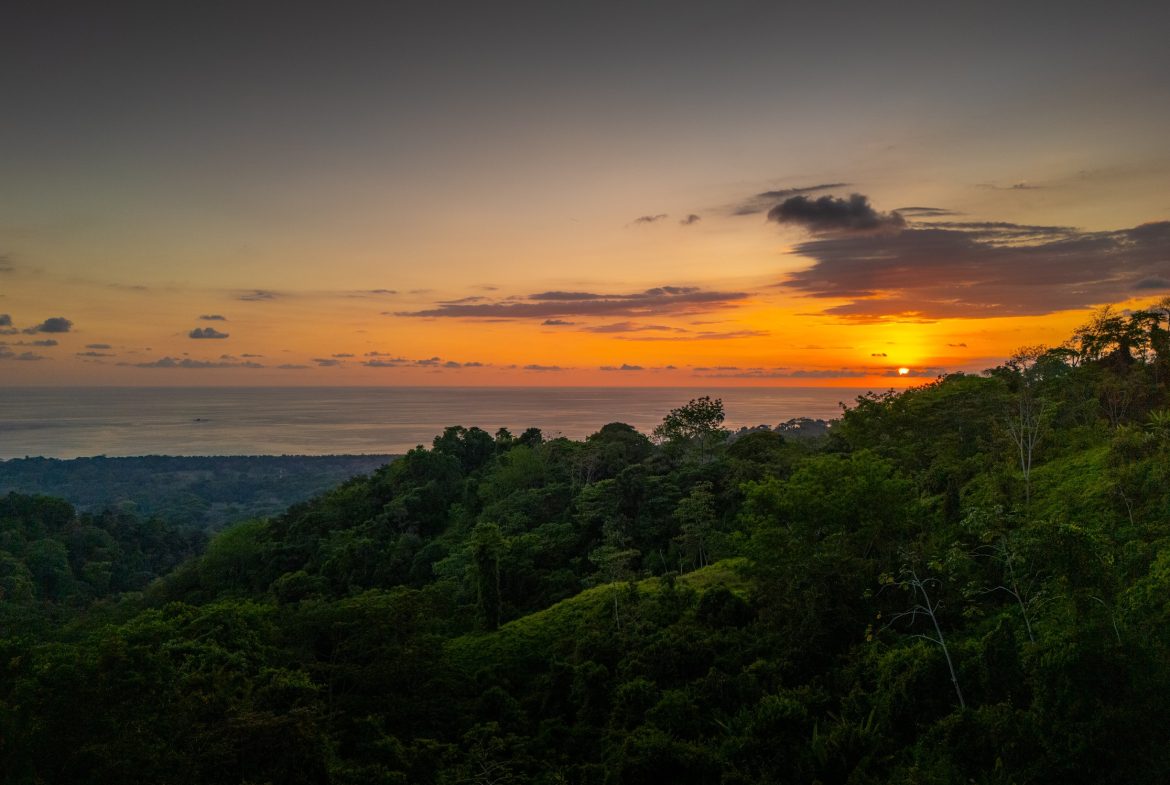 JUNGLE PROPERTY WITH THREE BEDROOMS AND SUNSET VIEWS, IN UVITA – 1.27 ACRES