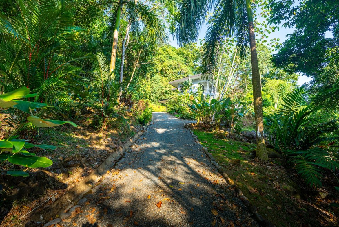 JUNGLE PROPERTY WITH THREE BEDROOMS AND SUNSET VIEWS, IN UVITA – 1.27 ACRES